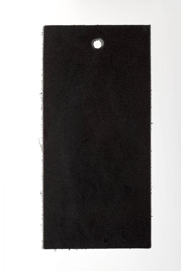 Saddle_Aberdeen_6101