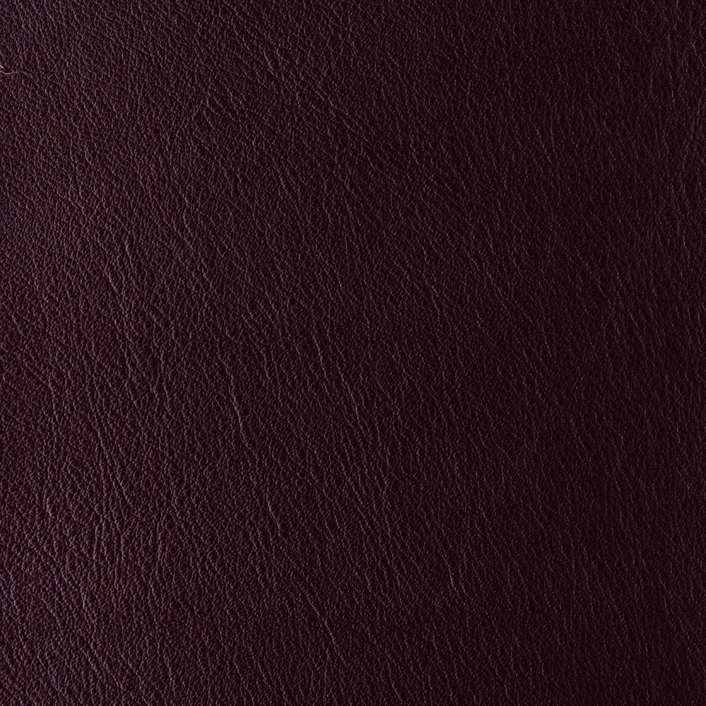 Bloom - Violastiletto - Dark Brown main image 1