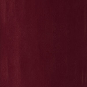 Spartacus